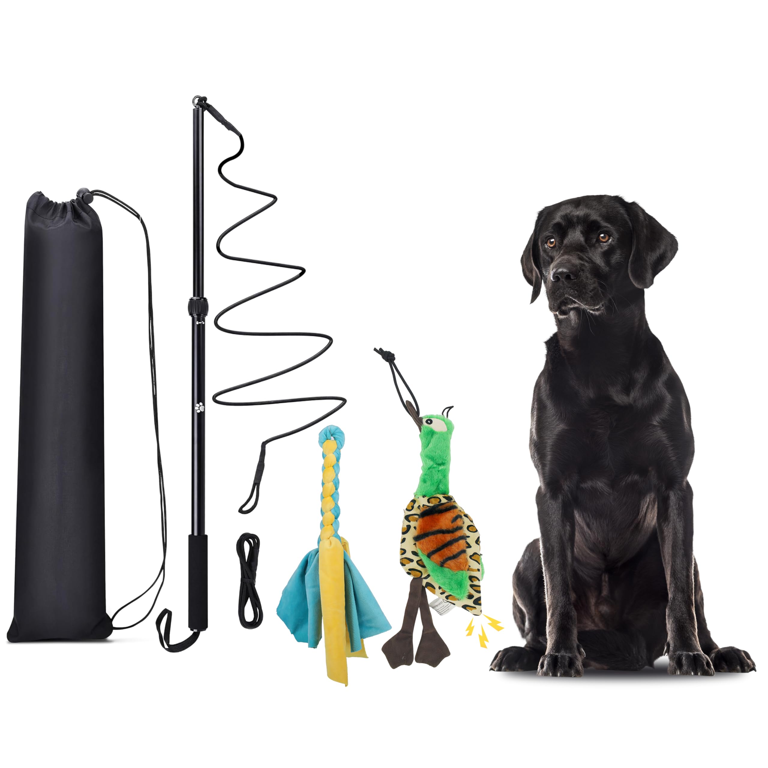 KOXXUD Reizangel Hunde, Profi Reizangel für Kleine, Mittelgroßer, Große Hunde für Ultimativen Spielspaß & Körperliche Auslastung （Seilstreifen + Ente）