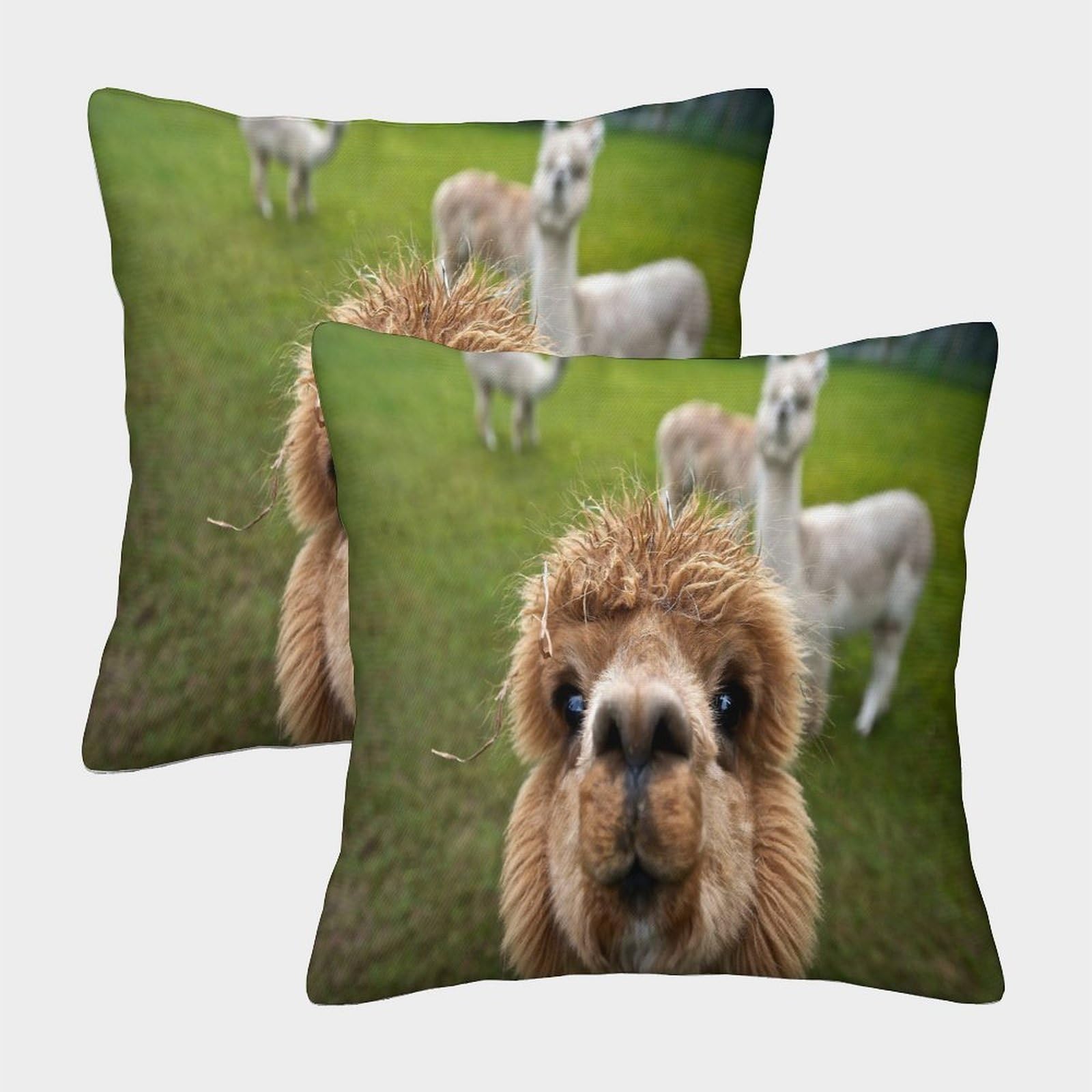 HWEICOIN 3D Printed Llama Square Pillowcases Dinosaurs Square Throw Pillow Decorative Super Soft Pack of 2 for Patio,Couch, Tent, Balcony And Sofa 50x50cm