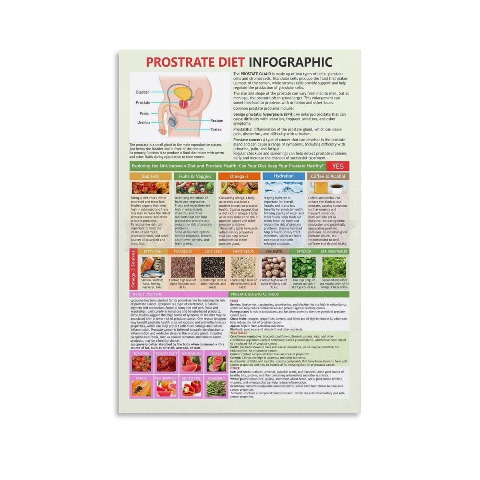 LLBOGRGGN Prostate Health Information Poster A Guide to Common Conditions and Wellness for Men Educational Decor for Clinic(Unframed,16x24inch(40x60cm))