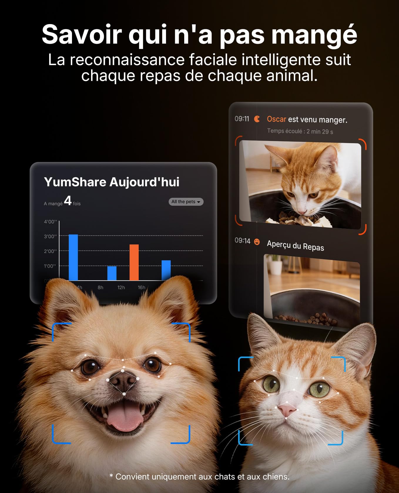 PETKIT YumShare Solo 2 Distributeur Croquettes Chat Automatique avec Caméra, Reconnaissance faciale Multi-Chats, WiFi 2.4 GHz & 5GHz, Vision Nocturne, Contrôle Via App, Jusqu'à 5 Repas par Jour