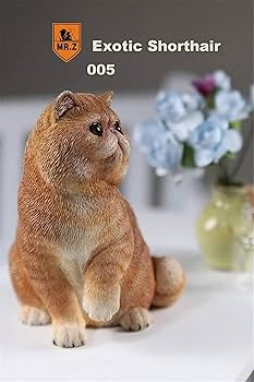 Amazon | Mr.Z 1/6 サイズ エキゾチック・ショートヘア 猫