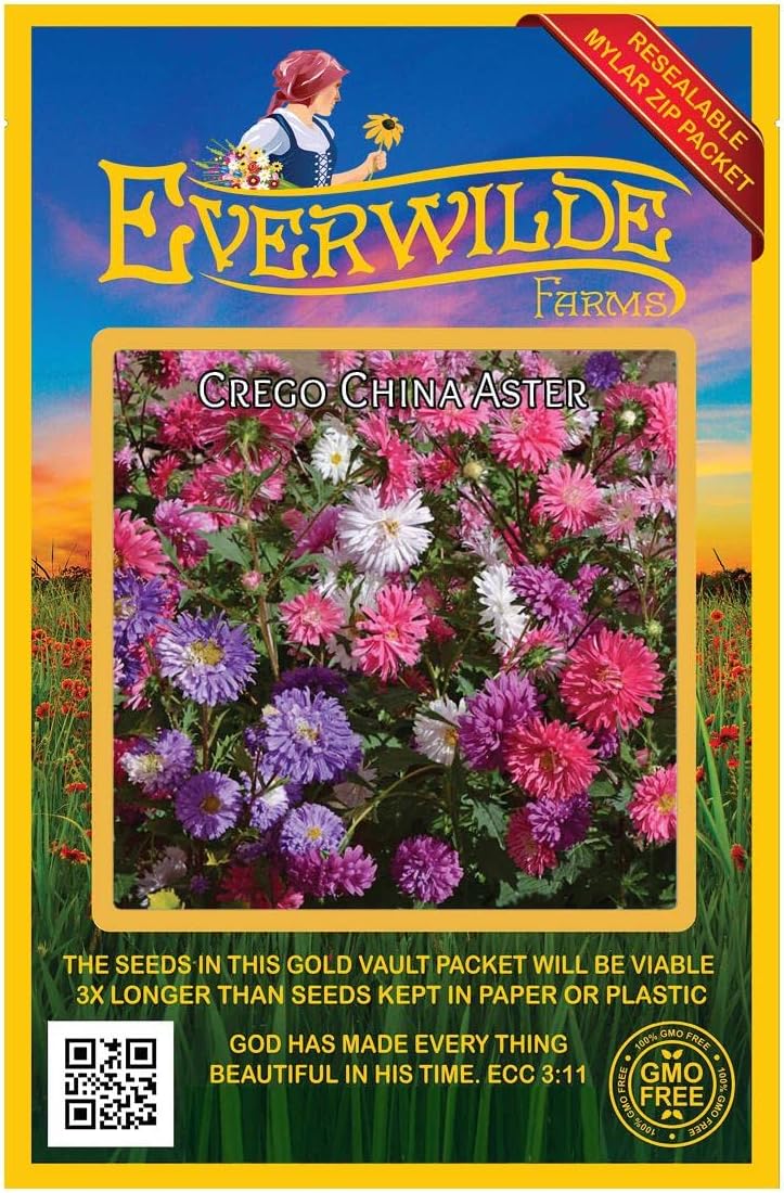 Everwilde Farms - 1 Lb Crego Mix Aster Wildflower Seeds - Gold Vault