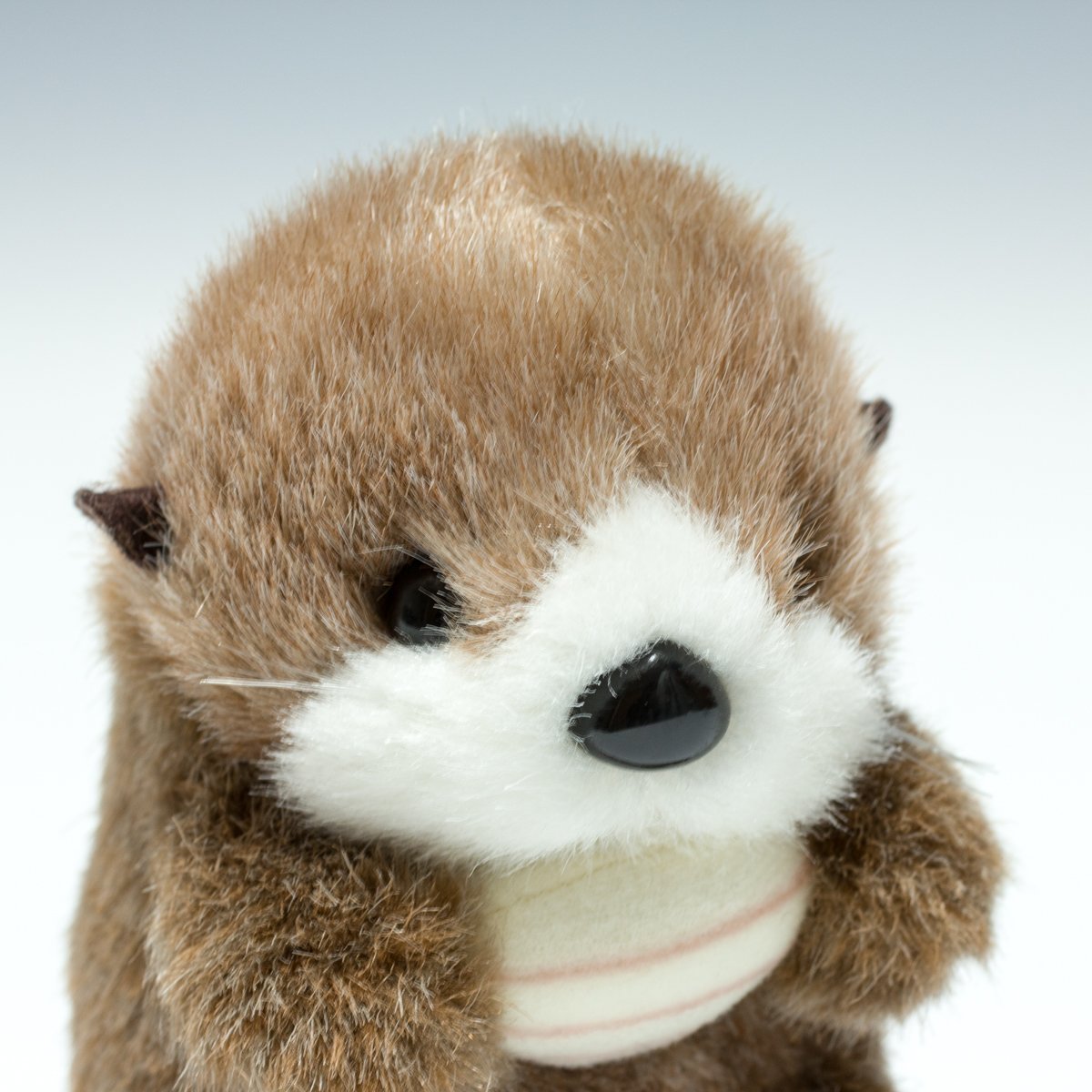 Amazon.co.jp: たけのこ お座りラッコ ミニ ぬいぐるみ 88815 : おもちゃ