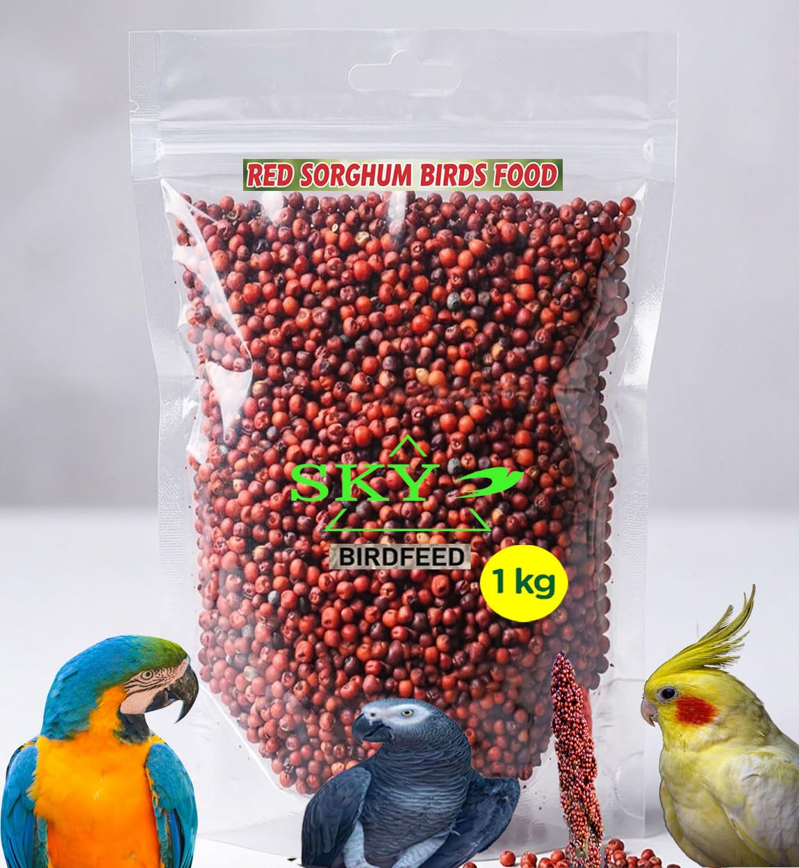 SKY Red Millet (Sorghum) Bird Feed, Whole Grain Seeds, Plant-Based, for Parrots, Cockatiels and Parakeets, 1 kg-image-10
