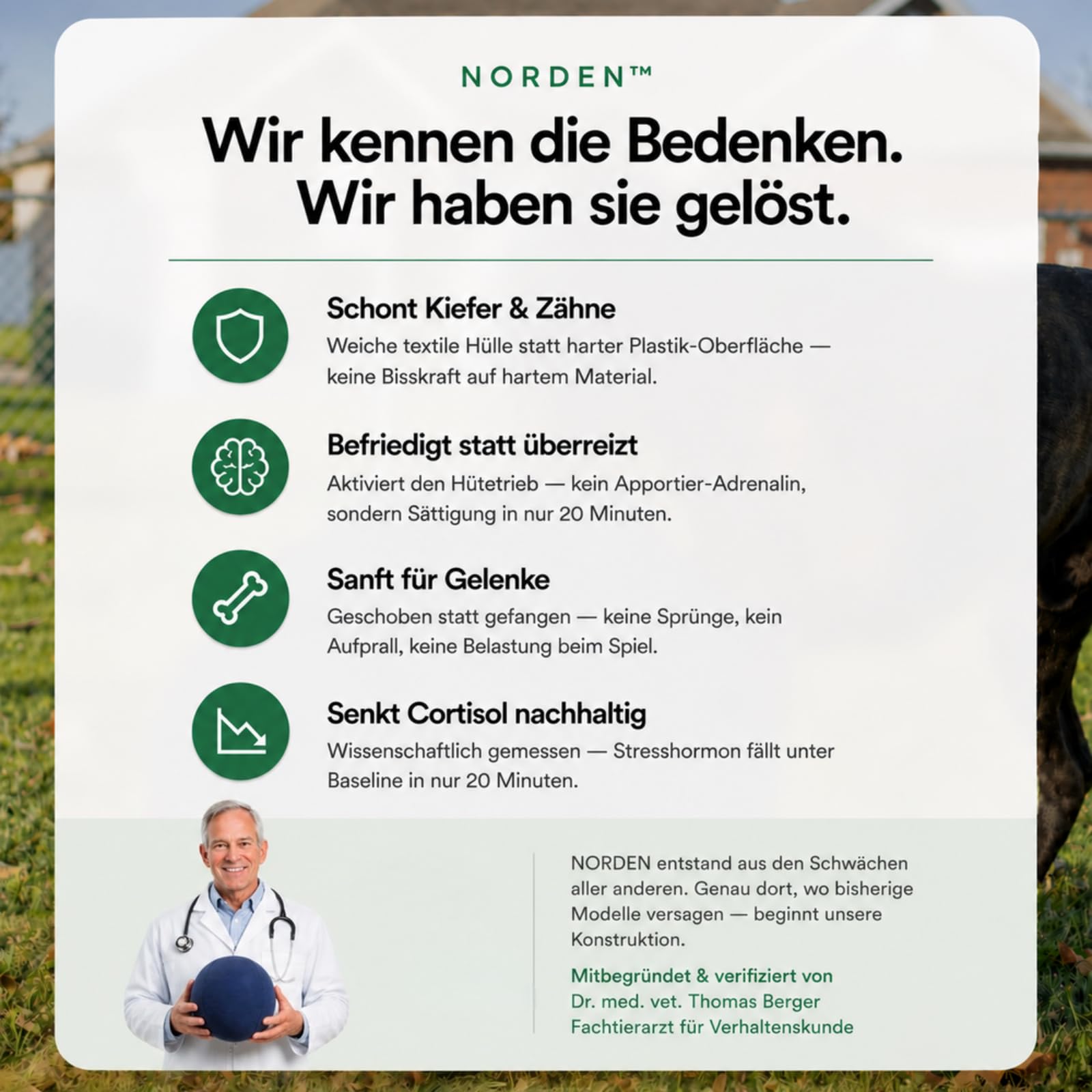 Lentiva Treibball Original,Norden Treibball,Ball für Hunde,Kau und kratzfestes Hundespielzeug mit Handschlaufe,Interaktives Hundeball für Innen und Außenbereich