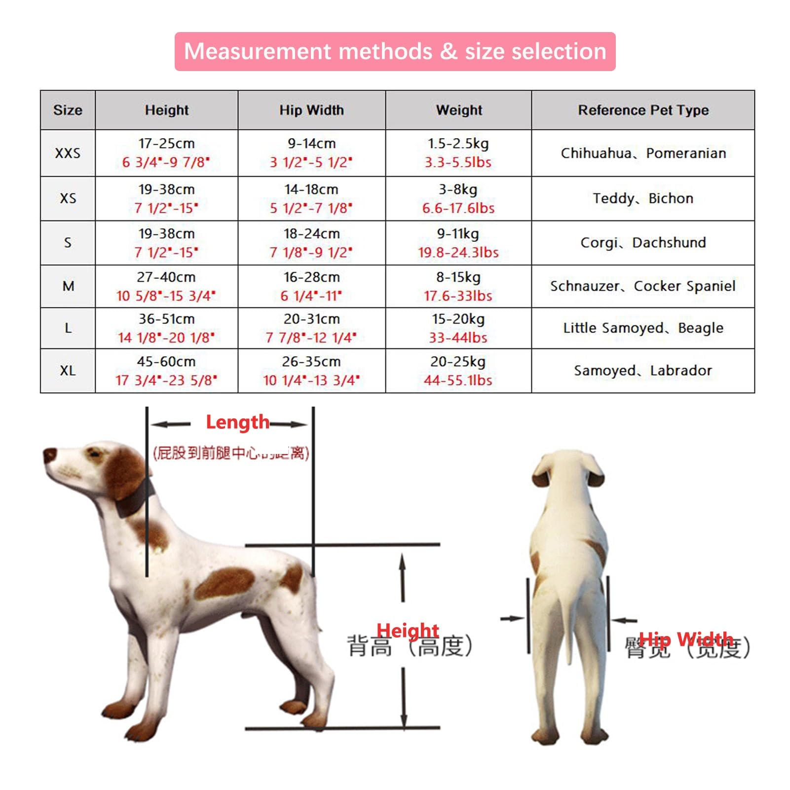 Silla de Ruedas para Perros y Gatos de Razas pequeñas y Medianas, Carrito de Ayuda para la Movilidad de 2 Ruedas, Remolque de Bicicleta para Mascotas, Carrito para Patas traseras de 18 a 27