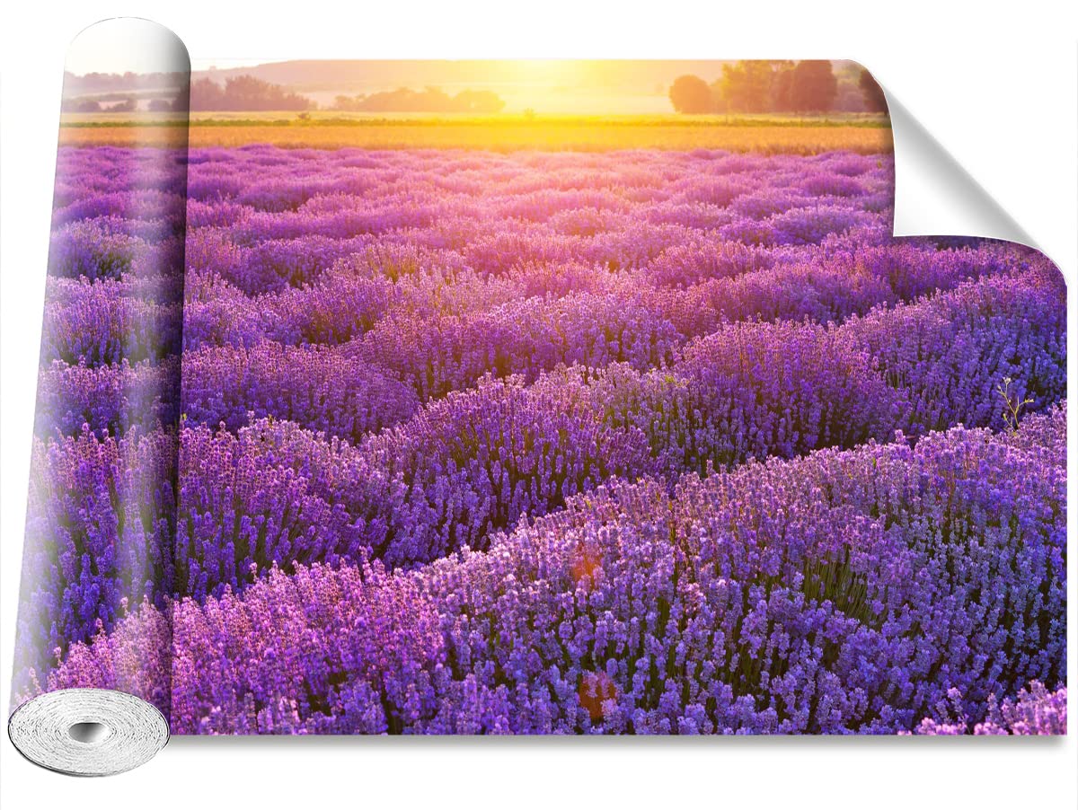 Papier peint champ de lavande de Provence pour salon et chambre moderne Tulup