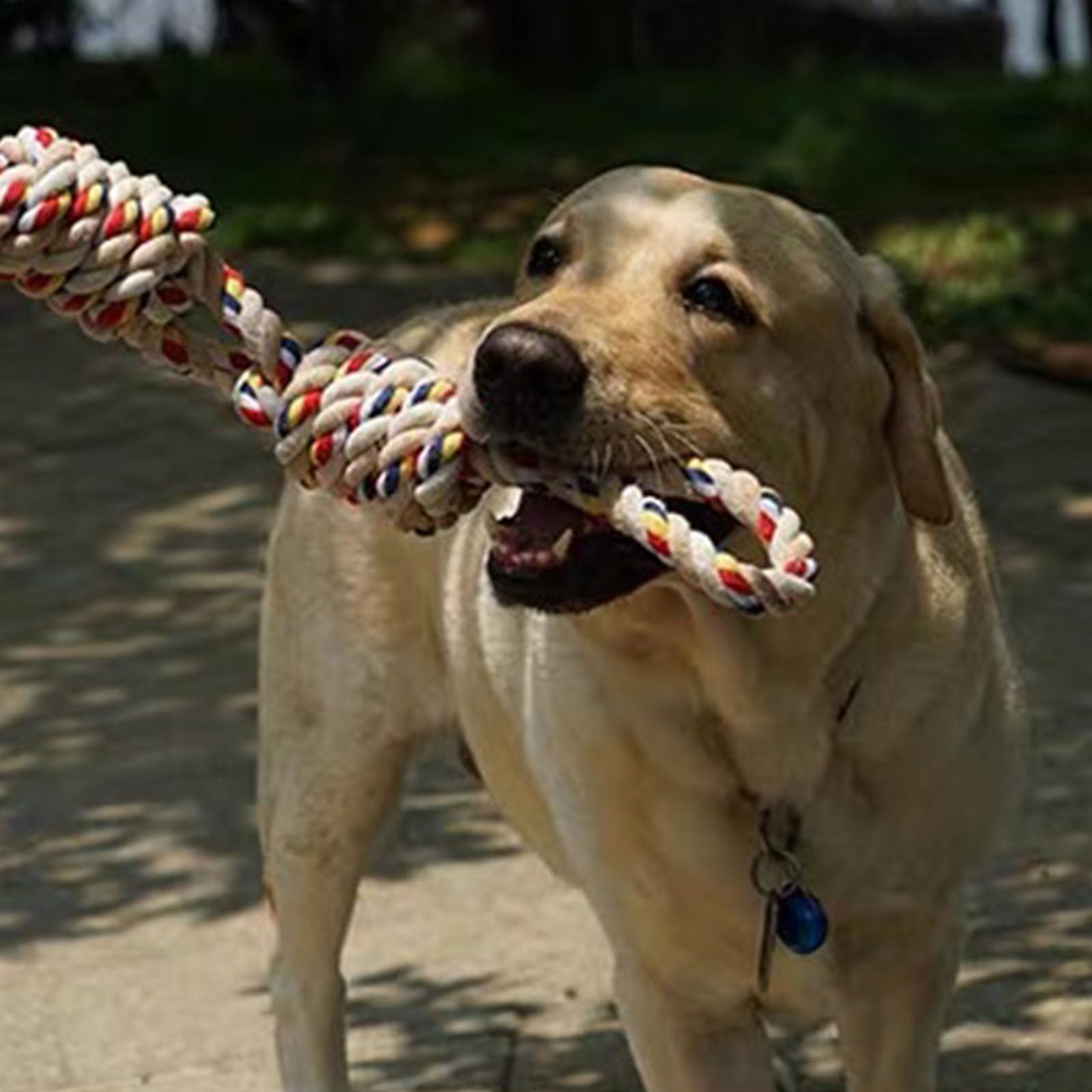 HESUILONG Dog Rope Toy Dog Teething Toys Rope Chew Toys Safe Braided Design Healthy Gift for Medium Large Dogs 60 cm (60 cm) - Image 4