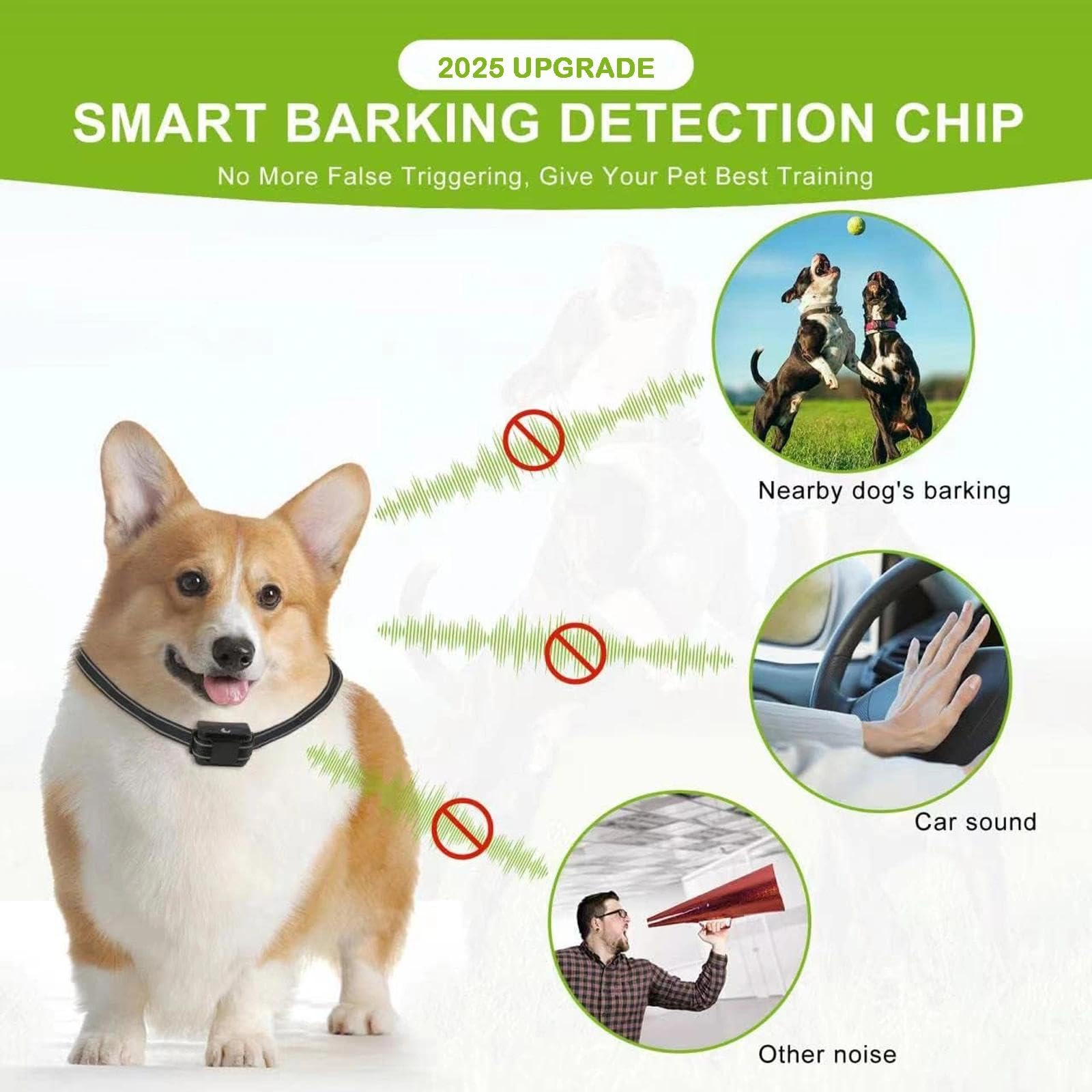 Collier lumineux pour chien (design à double sangle), luminosité réglable, collier pour chien rechargeable (noir)