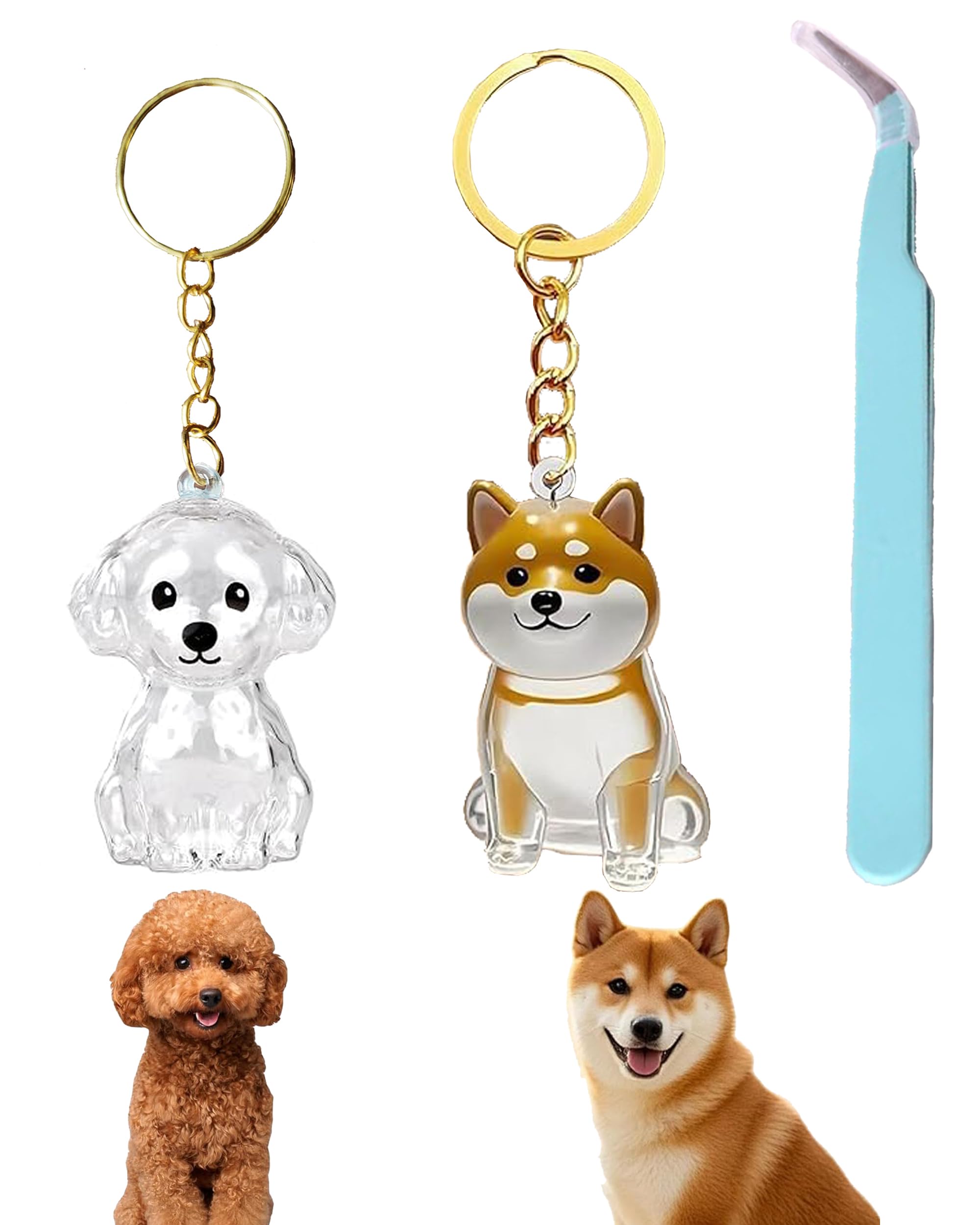 Mzinge Transparent Cat Hair Storage Bottle,Keychain For Collecting Cat And Dog Hair Cat Hair Storage Capsules Cats Hairs Storage Bottle Cute Pet Memorial Gifts For Cats Dog Lover (Dog)