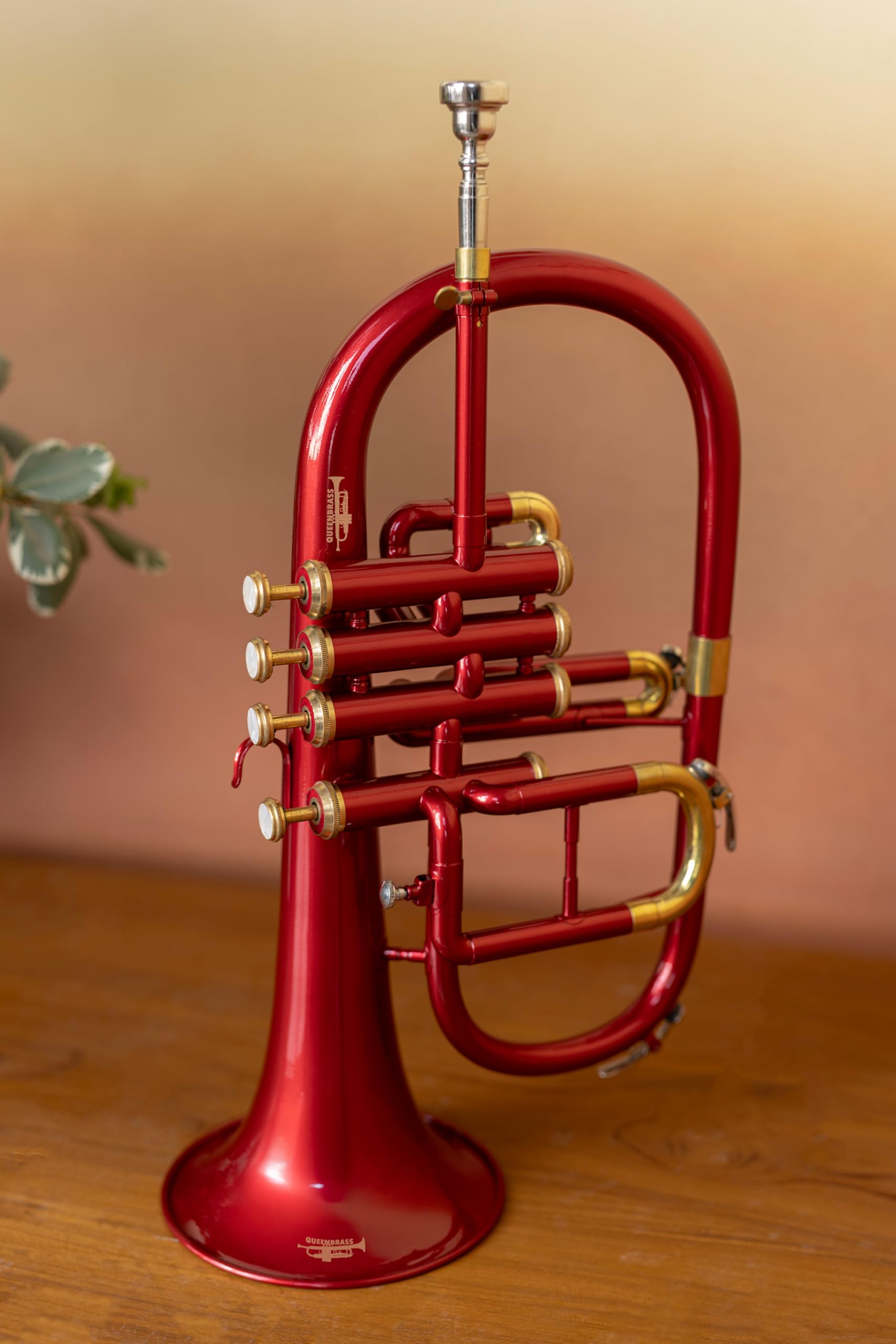 Flügelhorn mit 4 Ventilen in Bb/F-Teilung, farbiges Finish mit Mundstück und Koffer, Messing-Flügelhorn für Jazz, Orchester und Messingbänder, Rot