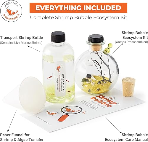 Miniatura 2 de Shrimp Bubble Self-Sustaining Ecosystem