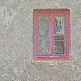 wittingen leichen gefunden  Witting