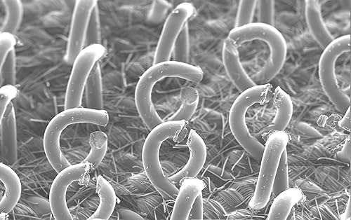 Miniatura 2 de Cubitron Hookit - Almohadilla de disco de perfil bajo, 52 agujeros, para lijadoras orbitales y orbitales aleatorias, fijación de gancho y bucle, 6