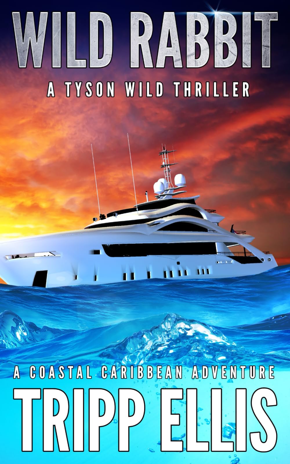 Wild Rabbit: A Coastal Caribbean Adventure (Tyson Wild Thriller)