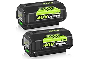 RYOBI 6Ah 40V MAX Lithium Battery (OP40602) for 40V Tools