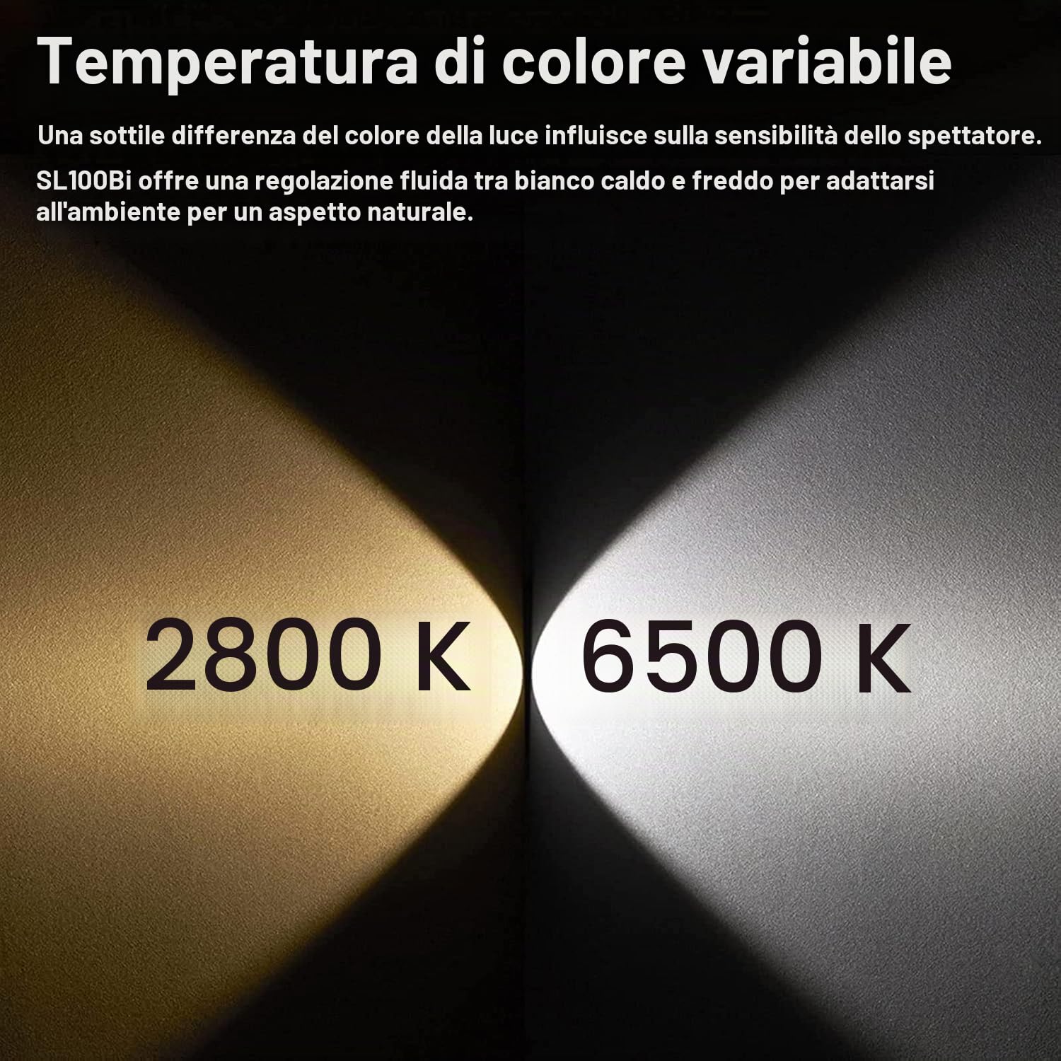 GODOX SL100Bi Lampada Video LED 100W 2800-6500K TLCI≥97 CRI≥96, Illuminazione Continua Dimmerabile con Attacco Bowens per Riprese Video Riprese in Esterni