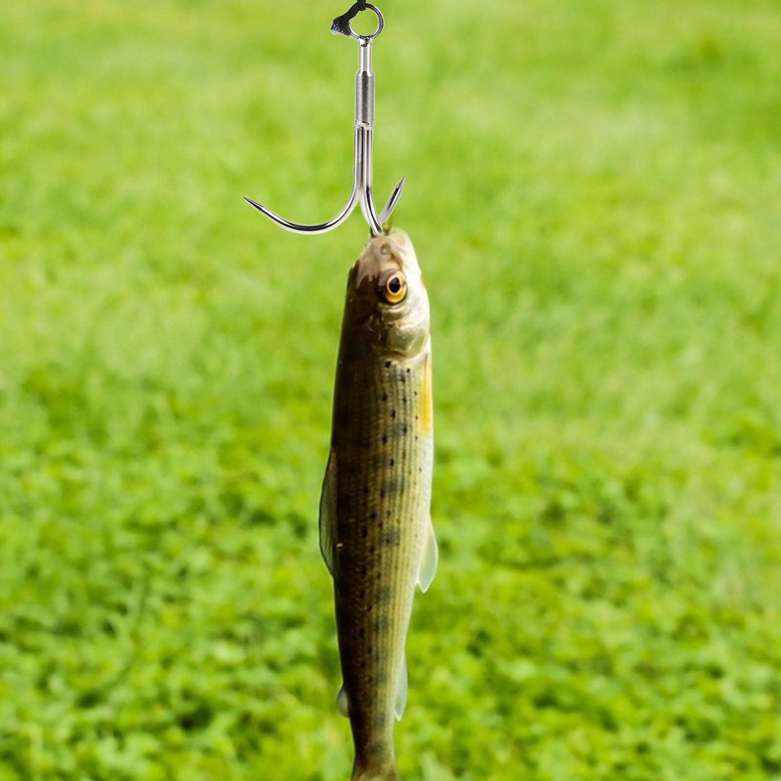 Gancho de Acero Inoxidable para Exteriores Cuerda de 10 Metros, Gancho de Tres Puntas para Pesca y Rescate, Herramienta de Agarre para Escalada y Camping, Color Aleatorio