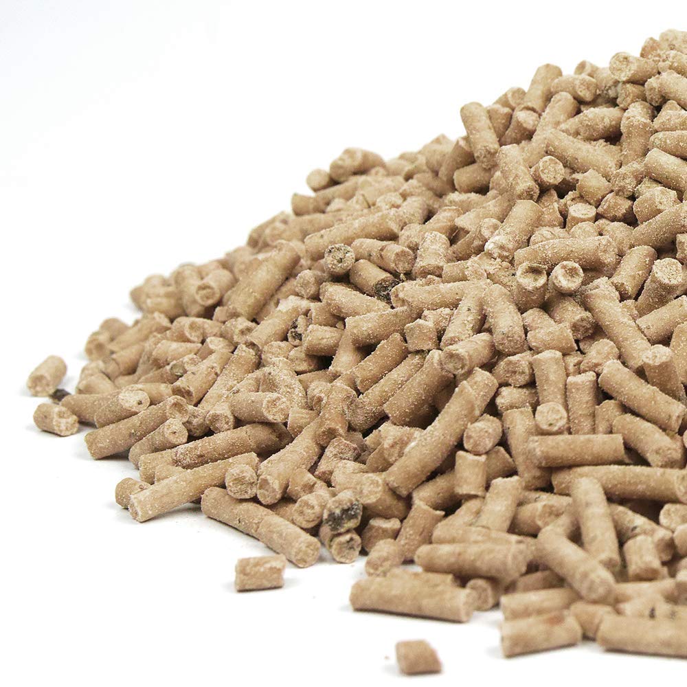 SQUAWK Mealworm Suet Pellets - Quality High Energy Garden Wild Bird Feed (10L)
