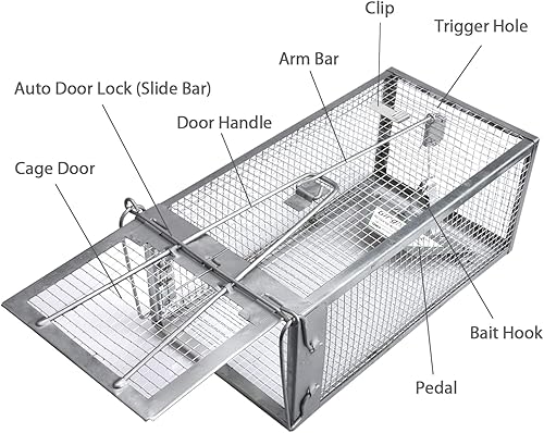 Miniatura 3 de Gingbau Trampa Humana Viva para Ratas, Ratones y Ardillas Listadas con Jaula (No para Ardillas)