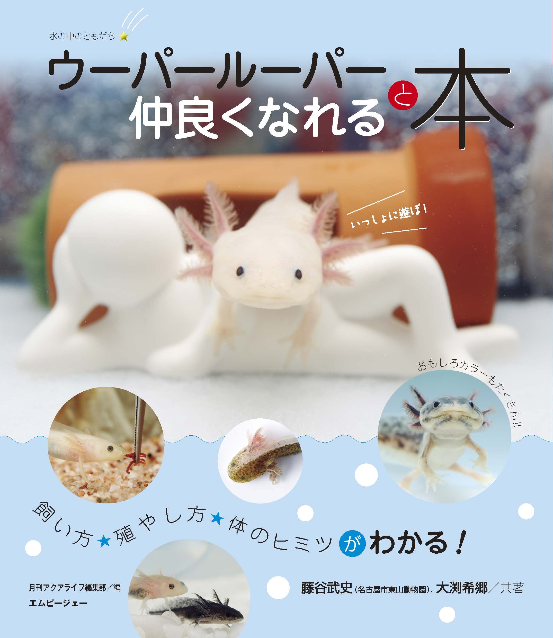 ウーパールーパーと もっと 仲良くなれる本 アクアライフの本 藤谷 武史 大渕 希郷 アクアライフ編集部 本 通販 Amazon ウーパールーパーと もっと 仲良くなれる本 アクアライフの本 藤谷 武史 大渕 希郷 アクアライフ編集部 本 通販 Amazon