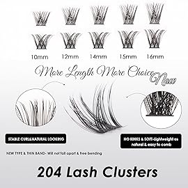 Lash Clusters 204 Pcs Individual Lashes Clusters Eyelash Extensions False Eyelashes DIY Lash Extension Kit Reusable False Eyelashes Natural Look Mix 10-16mm C D Curl(DM01+DM17)