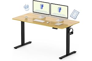 FLEXISPOT Standing Desk 55x28 Height Adjustable Desk Electric Sit Stand Desk Home...