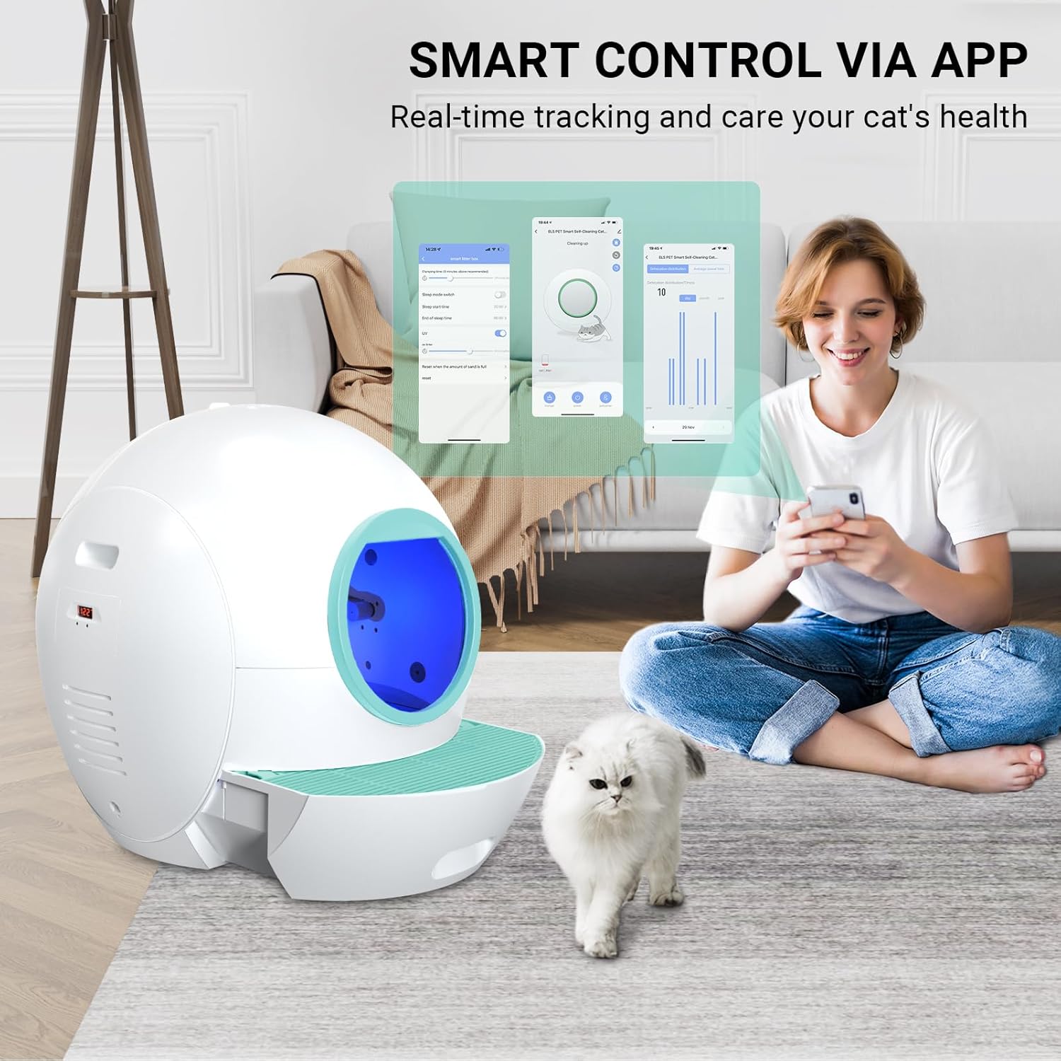https://m.media-amazon.com/images/I/71NjorMvnZL._AC_SL1500_.jpg