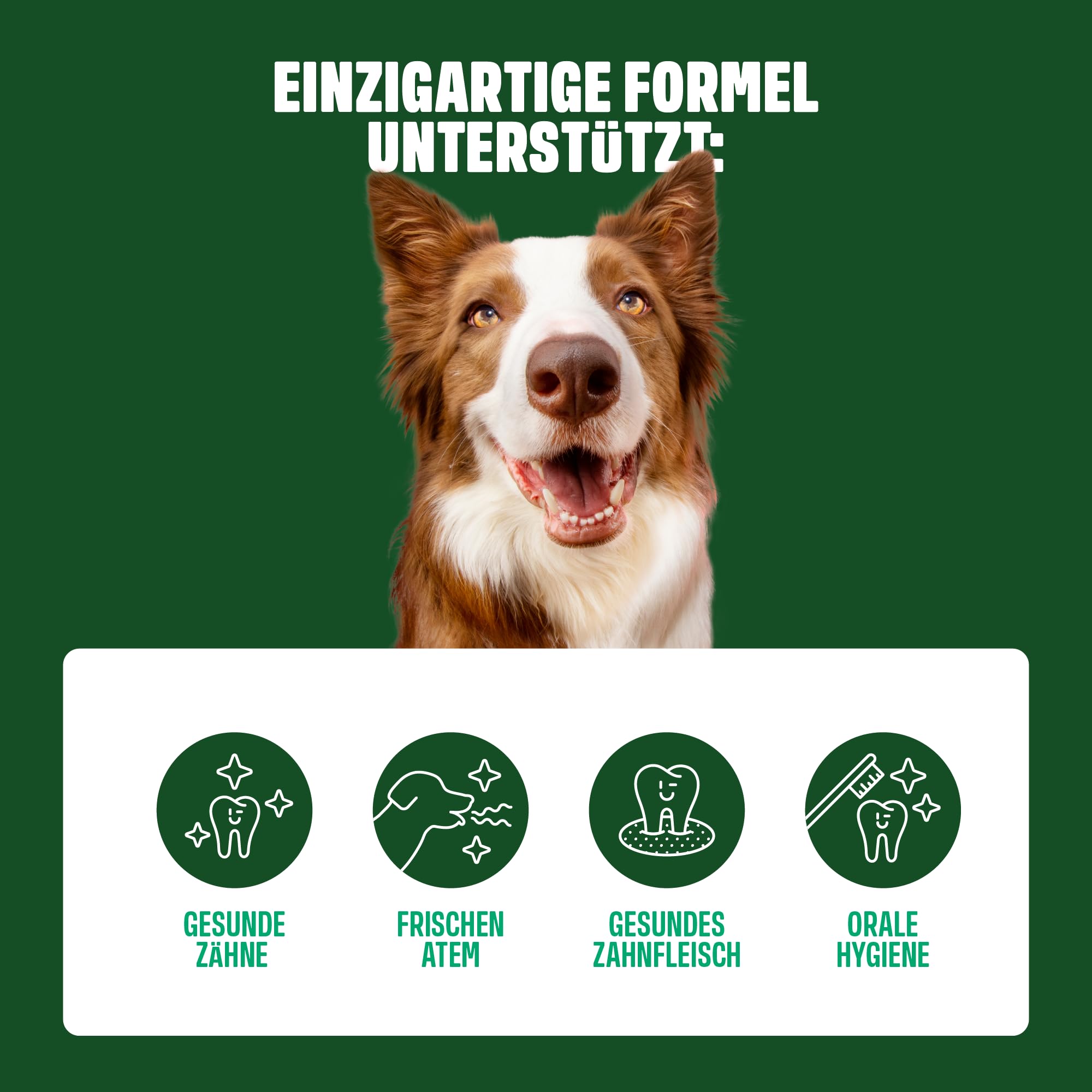 ivvi Dental - Zahnhygiene-Snacks für Hunde. Zahnpflege für gesunde Zähne und Zahnfleisch, hilft bei Zahnbelag und schlechtem Atem, Mundgeruch - 60 Snacks (270g) mit Huhn.