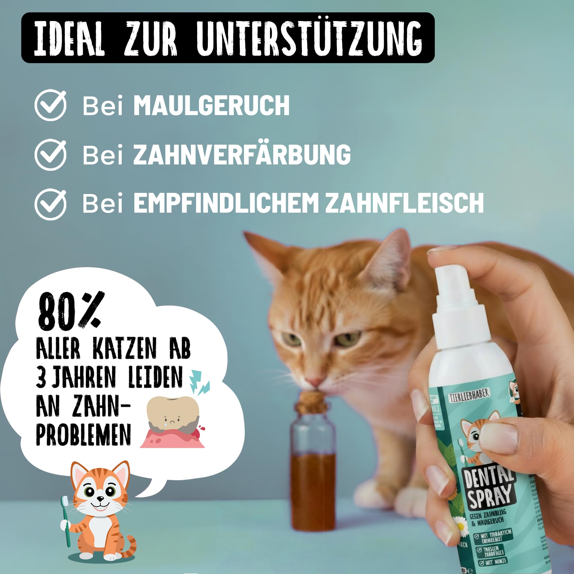 TIERLIEBHABER Dentalspray für Katzen Zahnpflege – Zahnpflege Katzen Zahnpasta Alternative – Gegen Katze Mundgeruch & Zahnstein Katze 100% natürlich – Tierärztlich in Deutschland entwickelt