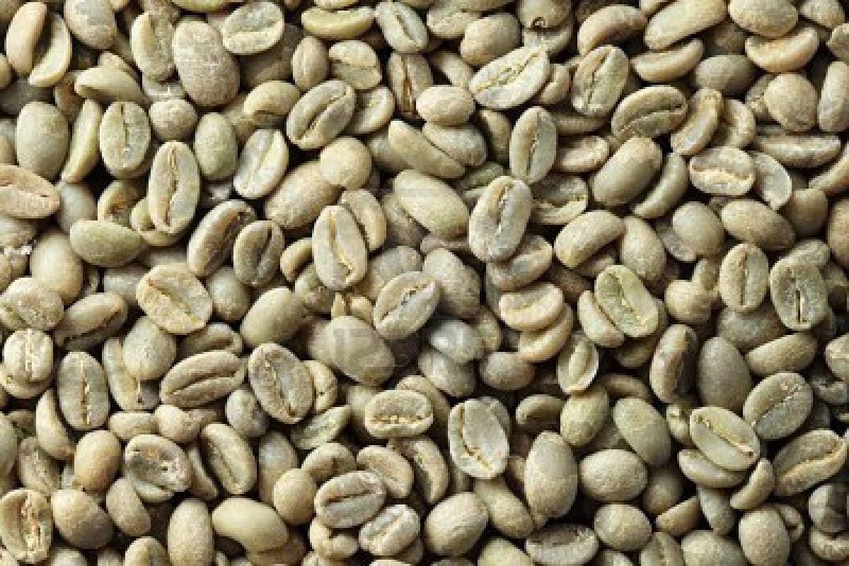 Peru Approcassi Cajamarca Fair Trade Shade Grown Organic Coffee Beans (Unroasted Green Beans, 5 Pounds Whole Beans)