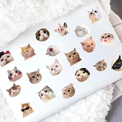 Miniatura 5 de 100 calcomanías divertidas de gatos, lindos gatos, calcomanías de meme para botella de agua, laptop, calcomanía de gato para equipaje, patineta,