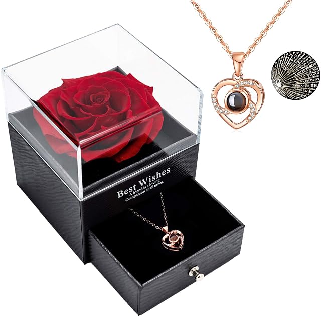 Yamonic Mothers Day Rose Gifts for Mum,Preserved Real Rose with I Love You Necklace 100 Languages,Mum Gifts from Daughter, Eternal Rose for Mother's Day Wedding Anniversary Birthday Gift for Her,Red