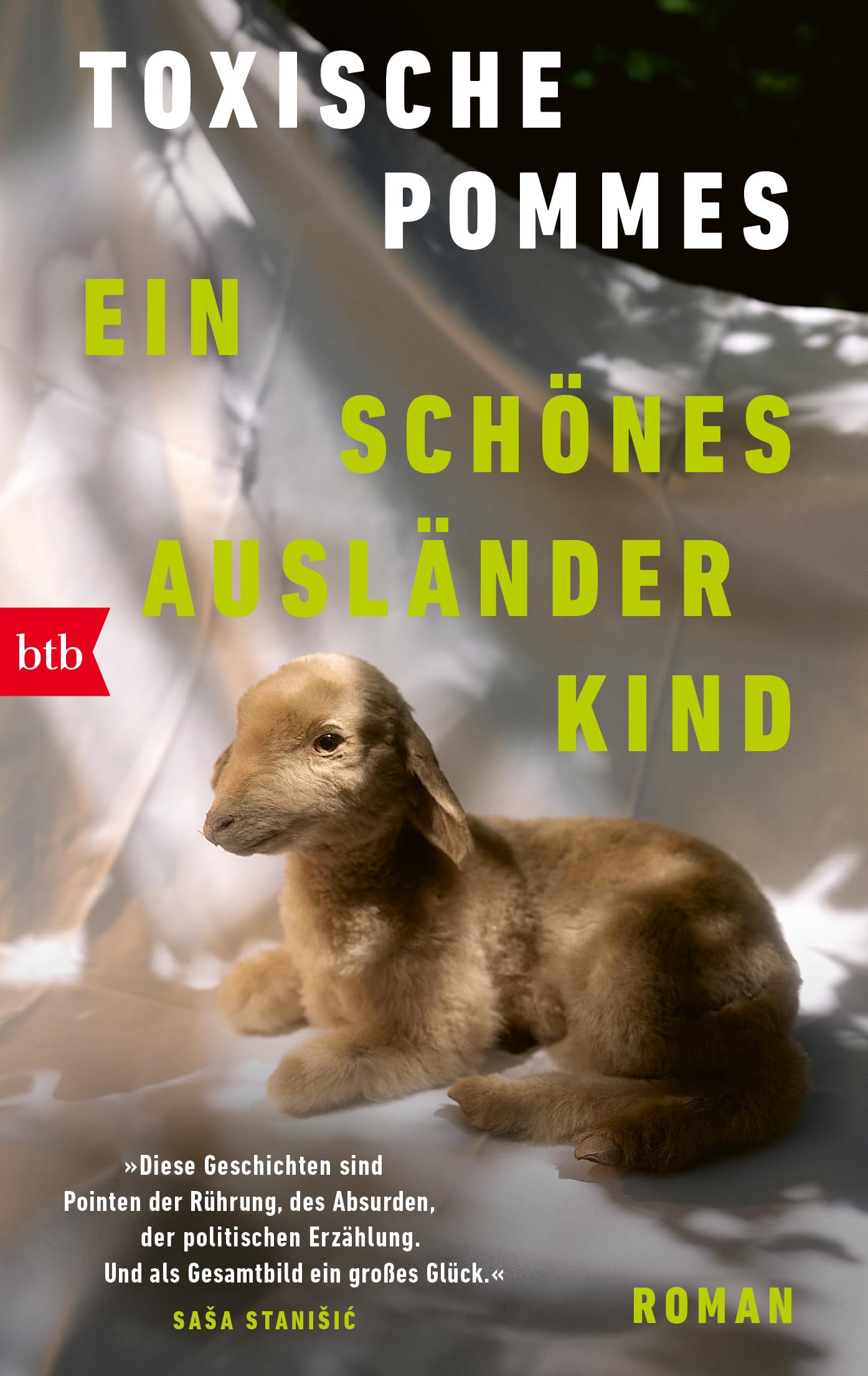 Ein schönes Ausländerkind: Roman - »Diese Geschichten sind Pointen der Rührung, des Absurden, der politischen Erzählung. Und als Gesamtbild ein großes Glück.« Saša Stanišić