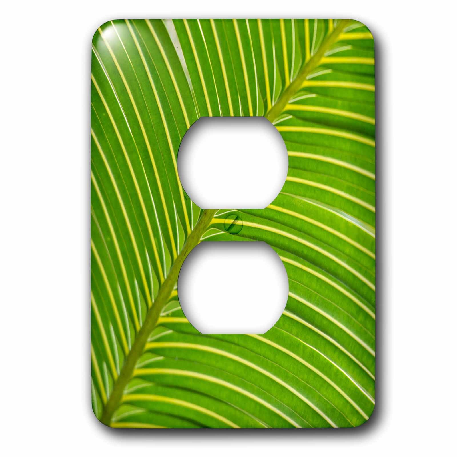 Capot de prise diagonale multicolore palm frond pour salon exotique chic
