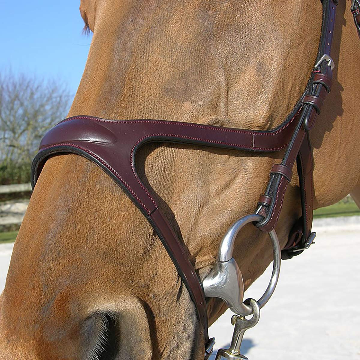 Dy'on Briglia NEC X Fit in Size: Full (EU). - Marrone - Full