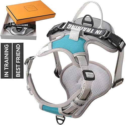 Arnés para perro sin tirones, arnés reflectante para perro con 2 clips delanteros y traseros, arnés Oxford para mascotas, chaleco acolchado suave