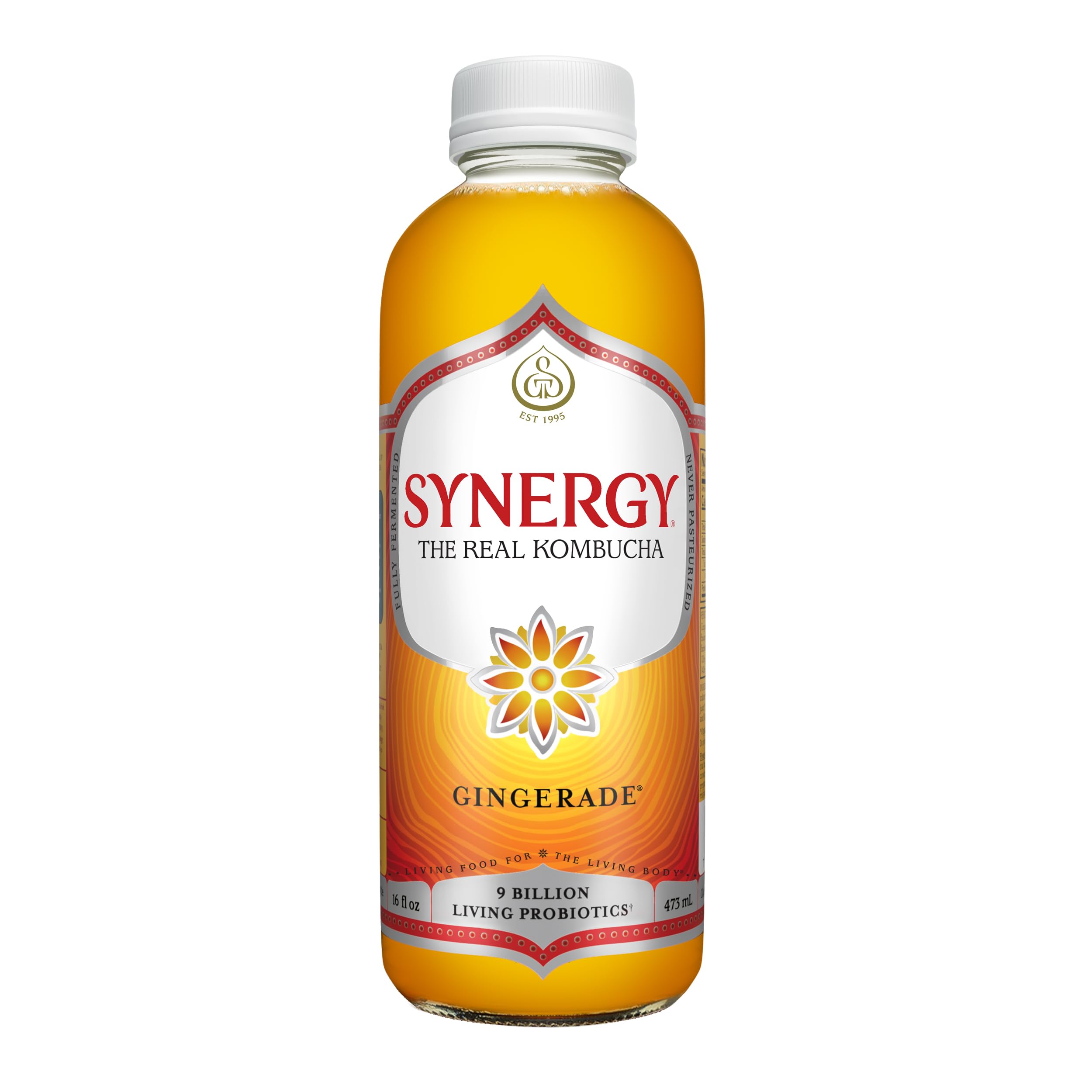 Amazon.com: SYNERGY The Real Kombucha - Gingerade - 16 fl oz