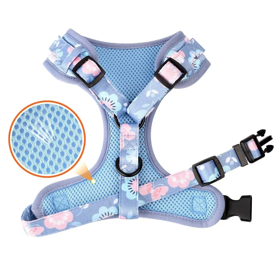 Beirui Cute Girl Ensemble de Colliers, Harnais et laisses pour Chien – Ensemble Collier et Laisse réglables avec Fleur – Harnais en Maille Douce pour Chiots et Chiens de Petite et Moyenne Taille