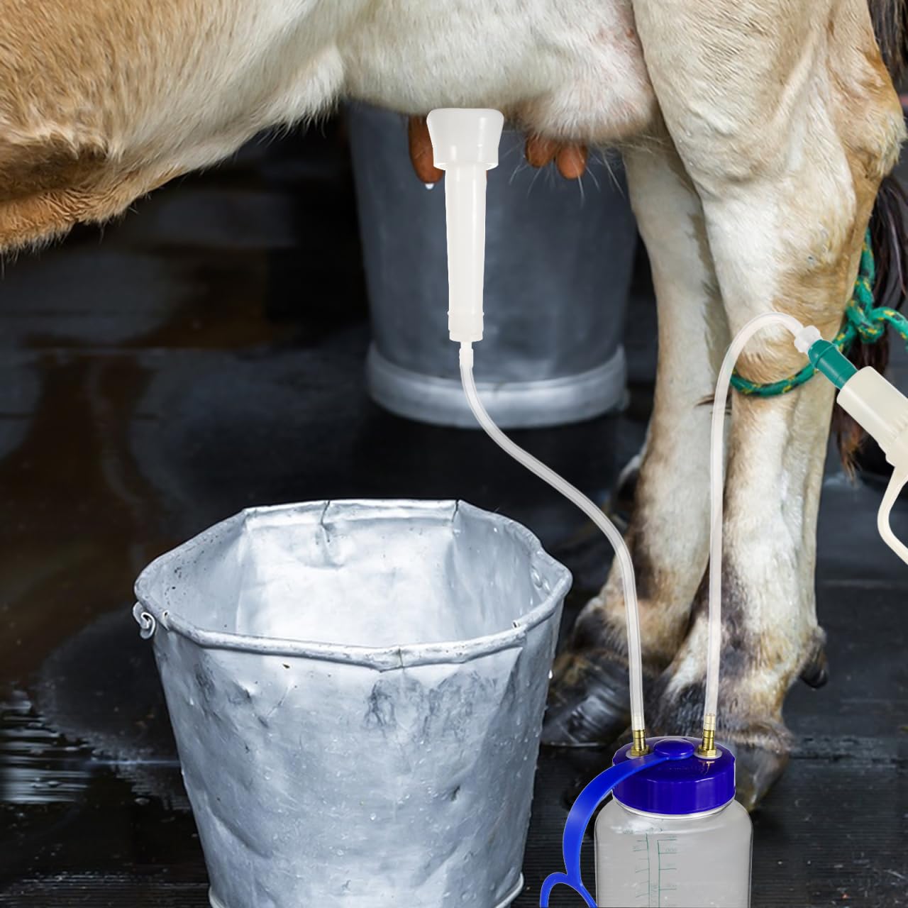 Mipcase Machine À Traire Manuelle Pour Vaches Et Moutons Kit Portable De Traite Avec Bouteille Transparente Facile À Transporter Et À Nettoyer Pour Fermes Laitières Et Élevage
