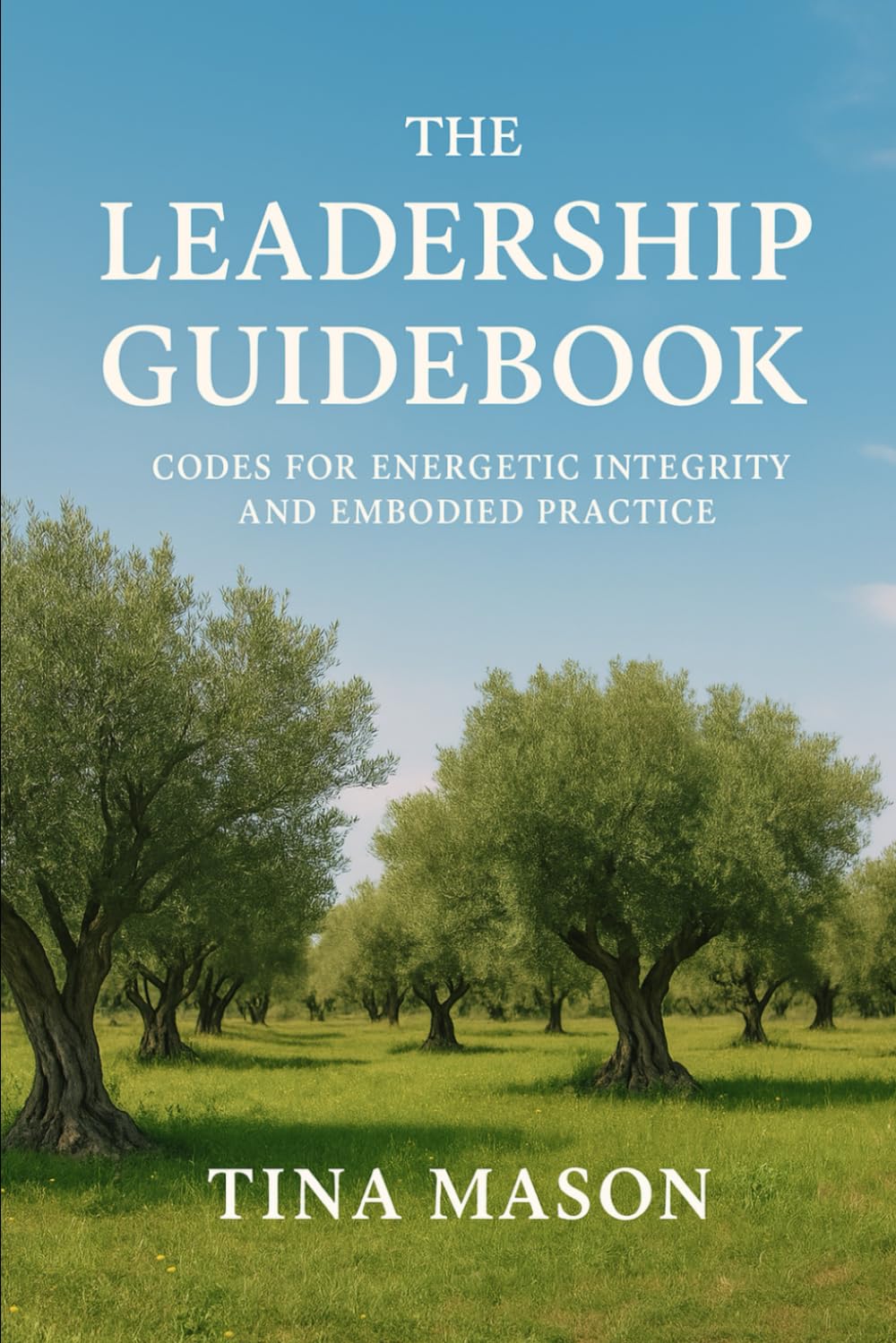 THE LEADERSHIP GUIDEBOOK: CODES FOR ENERGETIC INTEGRITY AND EMBODIED PRACTICE