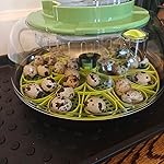 Review Image by Henry Henry