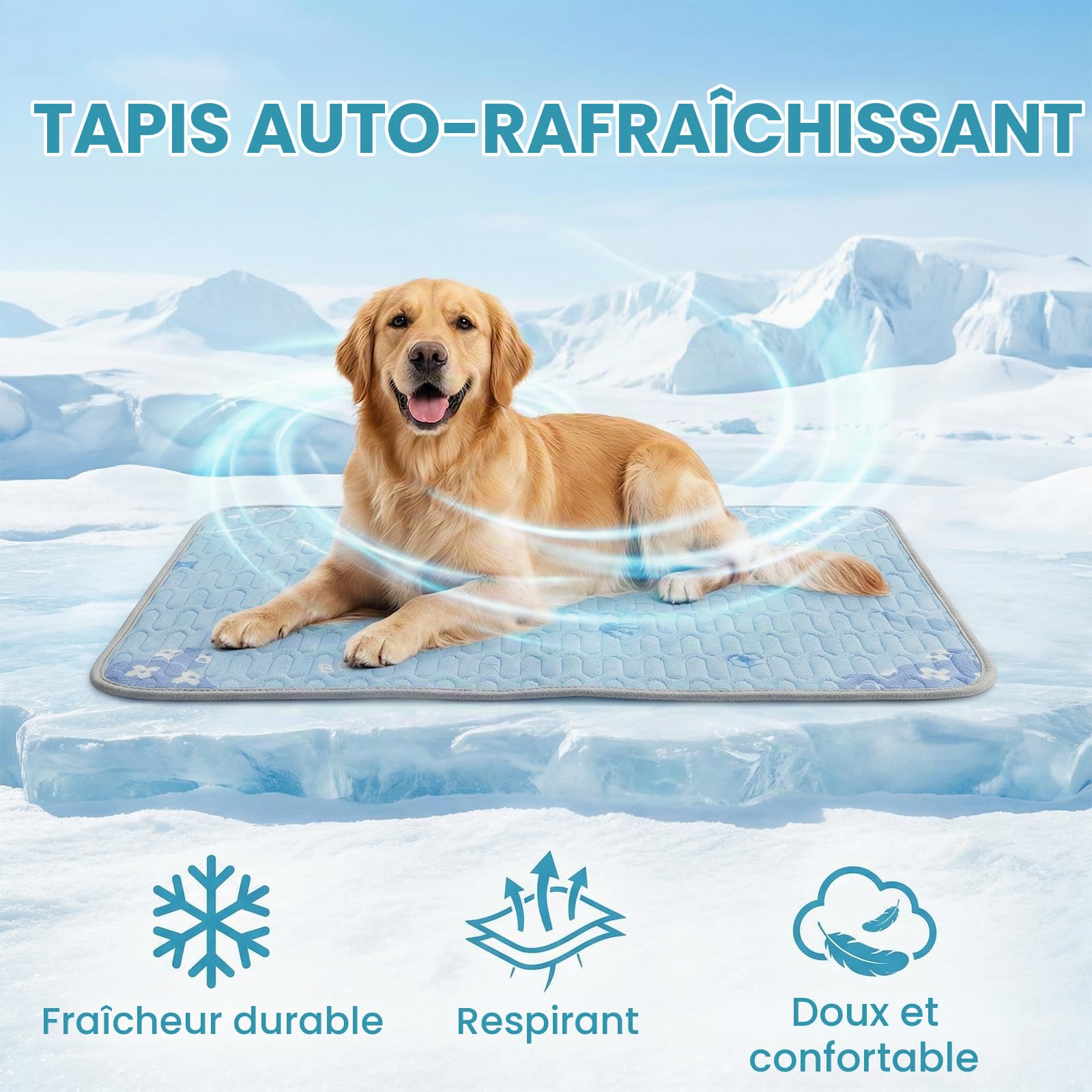 Tapis Rafraîchissant pour Chiens et Chats 50x40cm, Lavable en Machine - Motif Ours Bleu, Matelas Auto-Rafraîchissant en Tissu Glace & Remplissage Latex, Points Anti-Dérapants, pour Maison, Voiture