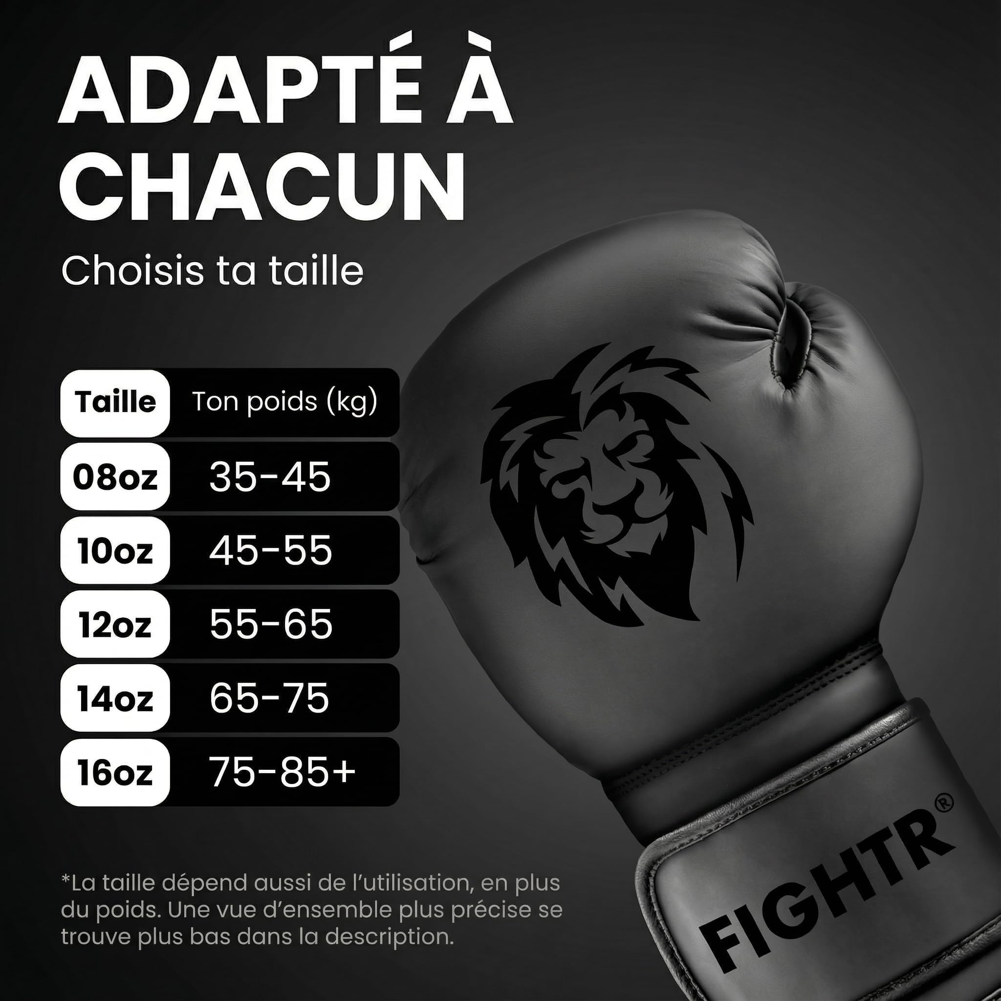 FIGHTR® Gants de Boxe – Protection et Stabilité Maximales | Gants pour Boxe, MMA, Muay Thai et Kickboxing | Tailles 8–16 oz, Sac de Transport Inclus