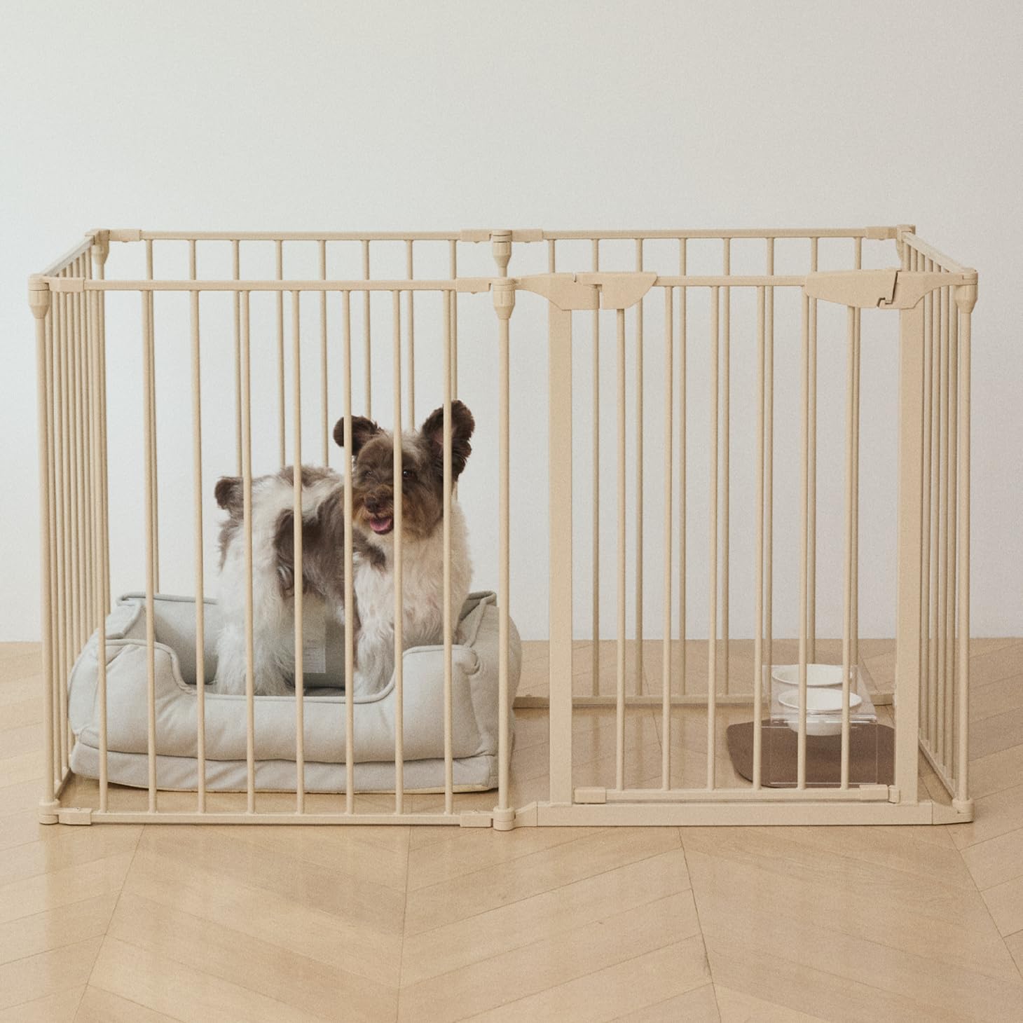 Amazon.co.jp: [citydog/シティドッグ] シンプルモダンケージ 犬