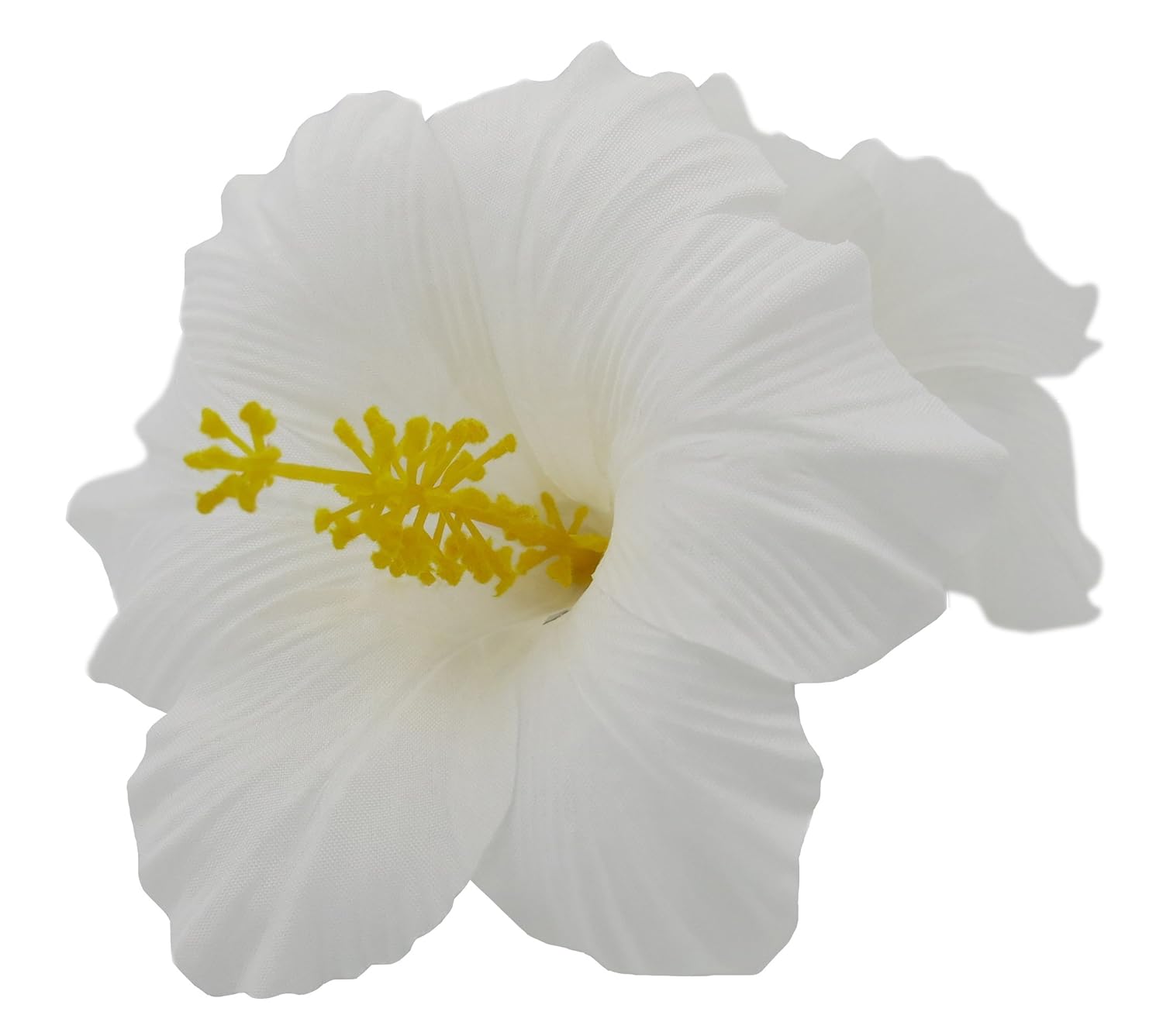 Double Hawaiian Hibiscus Flower Hair Clip (White) Beauty & Personal Care