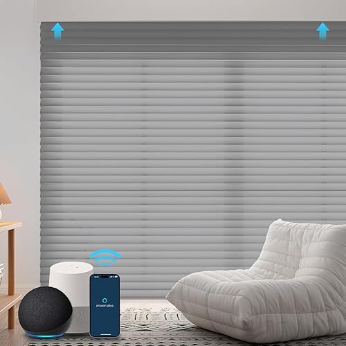 ZSTARR Shangri-La Motorized - Persianas enrollables para ventana con filtro de luz, compatibles con control remoto Alexa Google, persianas