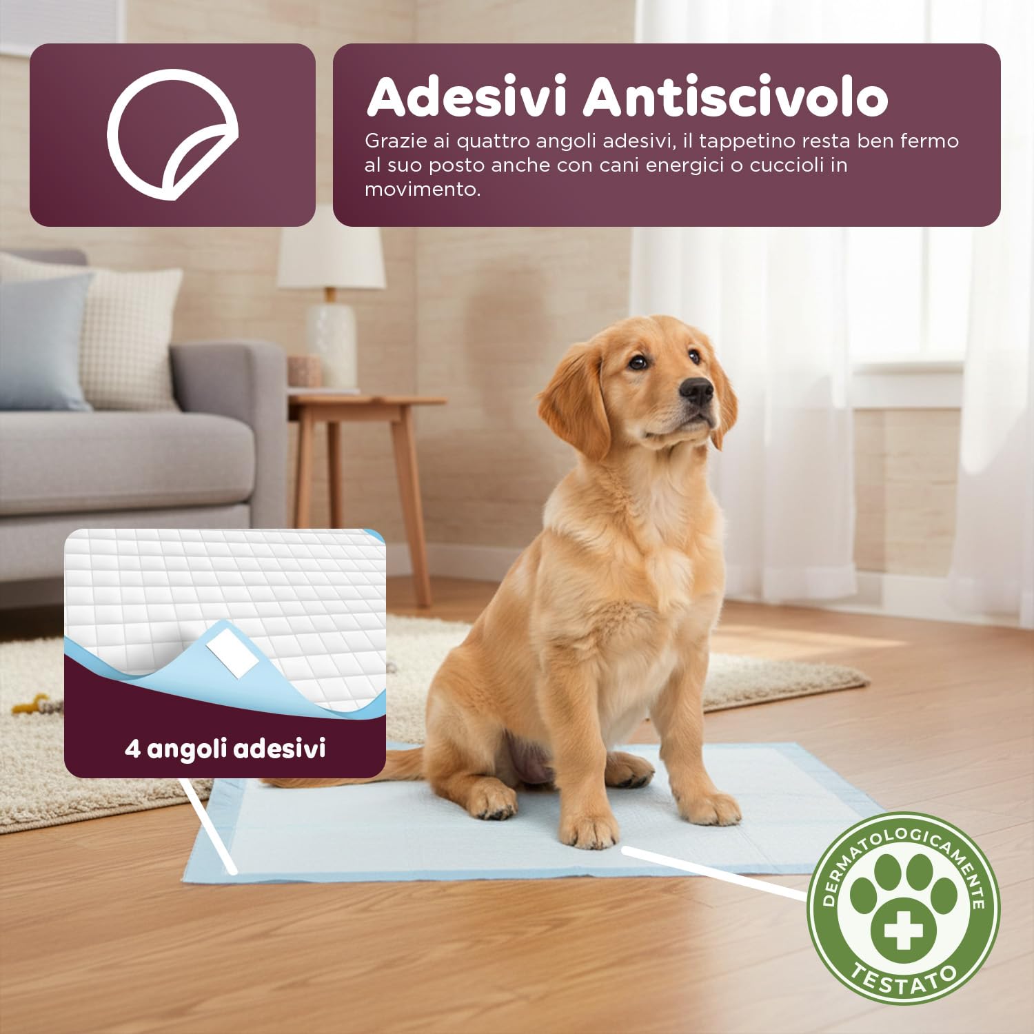 Avilia – Set Traversine Cani con Adesivi Anti-Odore, Assorbenza SAP Potenziata, Uso per Addestramento e Supporto Igienico Domestico, Dermatologicamente Sicure (150, Essential 60x90 cm)