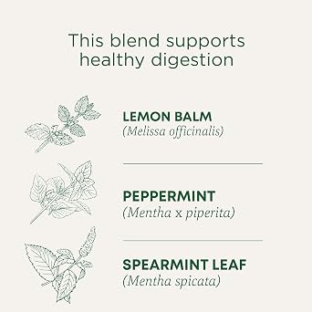 Traditional Medicinals Organic Triple Mint, 16 Tea Bags