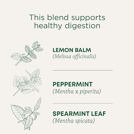 Traditional Medicinals Organic Triple Mint, 16 Tea Bags